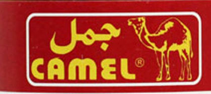 Picture for brand CAMEL