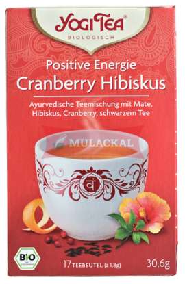 YOGI TEA Positive Energie Bio 6x30.6g