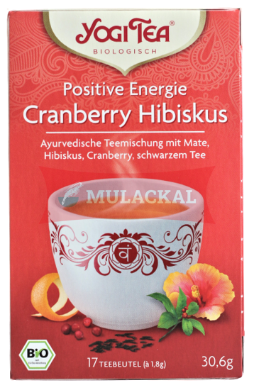 YOGI TEA Positive Energie Bio 6x30.6g