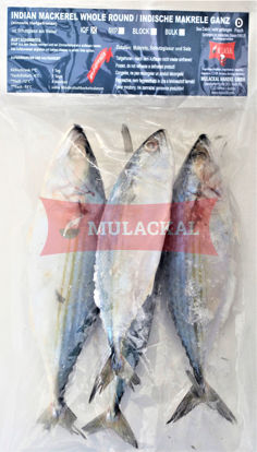 MULACKAL Indian Mackerel U5 1kg