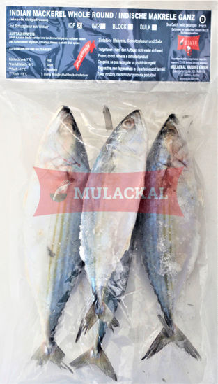 MULACKAL Indian Mackerel U5 1kg