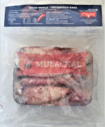 MULACKAL Squid Whole 10/20  10X1kg