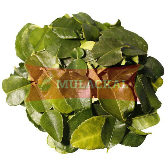 BDMP Kaffir Lime Leaves 100g