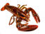 Lobster 1kg