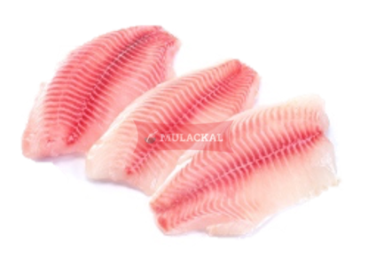 DSDY/OCEAN Tilapia fillet 140-200g 1kg