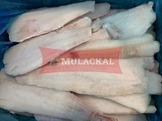 cod fillet 140-160g 5kg