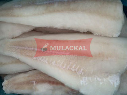 pikeperch fillet 170-230g 5kg
