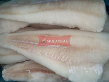 pikeperch fillet 170-230g 5kg