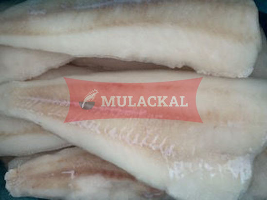 pikeperch fillet 170-230g 5kg