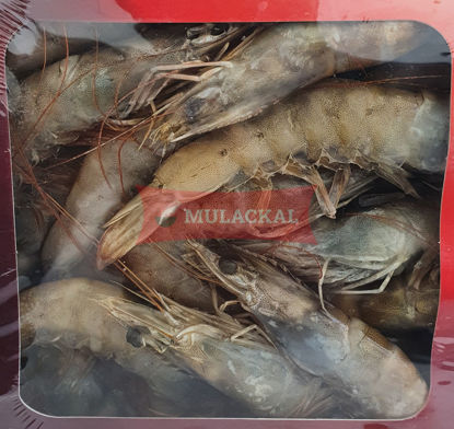 SEVEN White Tiger Shrimps HOSO 40/50 1kg