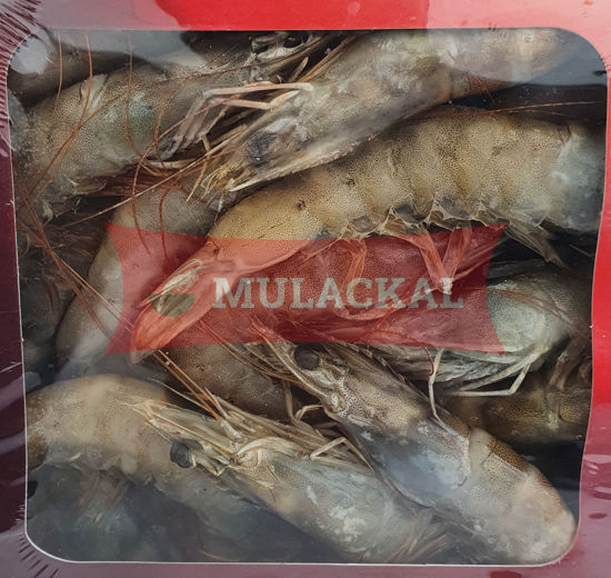 SEVEN White Tiger Shrimps HOSO 40/50 1kg