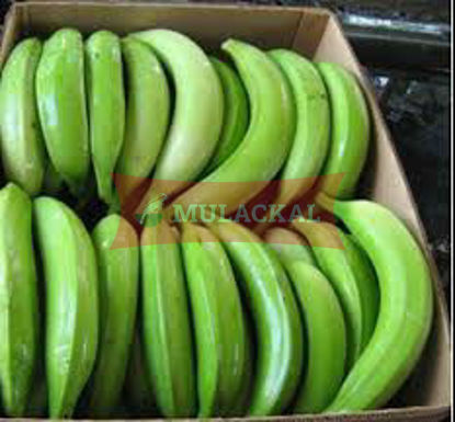 Green Plantain 22.7Kg