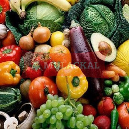 Bild von FRESH FOOD