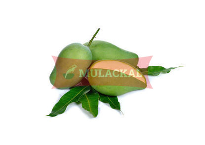 Green Mango 5kg