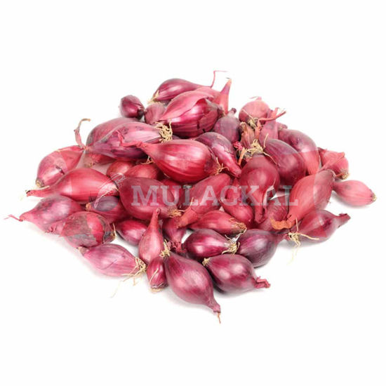 Red Onion Samll 5kg