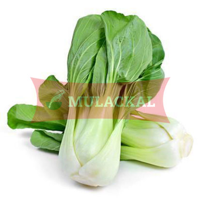 Pak Choi 8kg