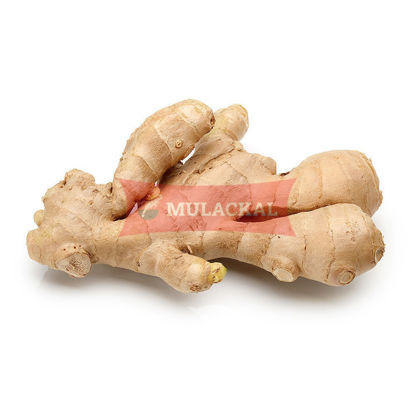 Ginger 10kg