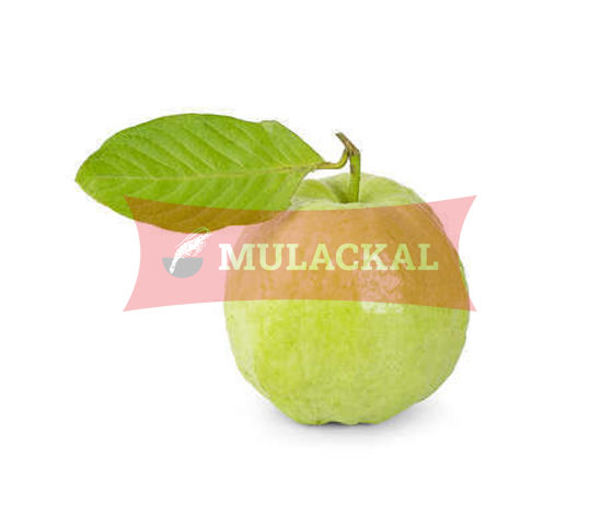 Guava Fresh  15pcsx5kg