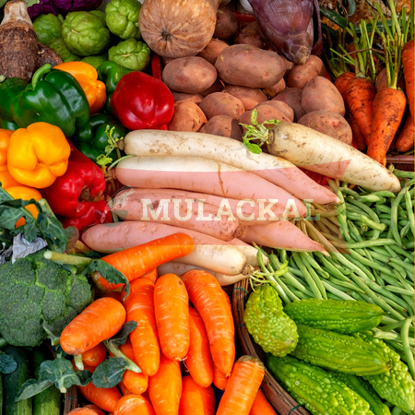 Picture of FRESH FOOD