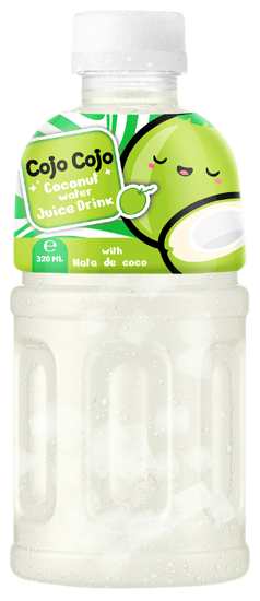 COJO COJO Nata De Coco Coconut Flavour 24x320ml